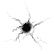 punkt